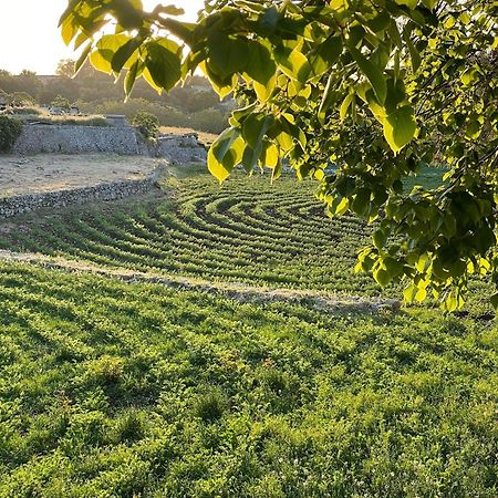 Masseria Trulli&Stelle B&B Noci Kültér fotó