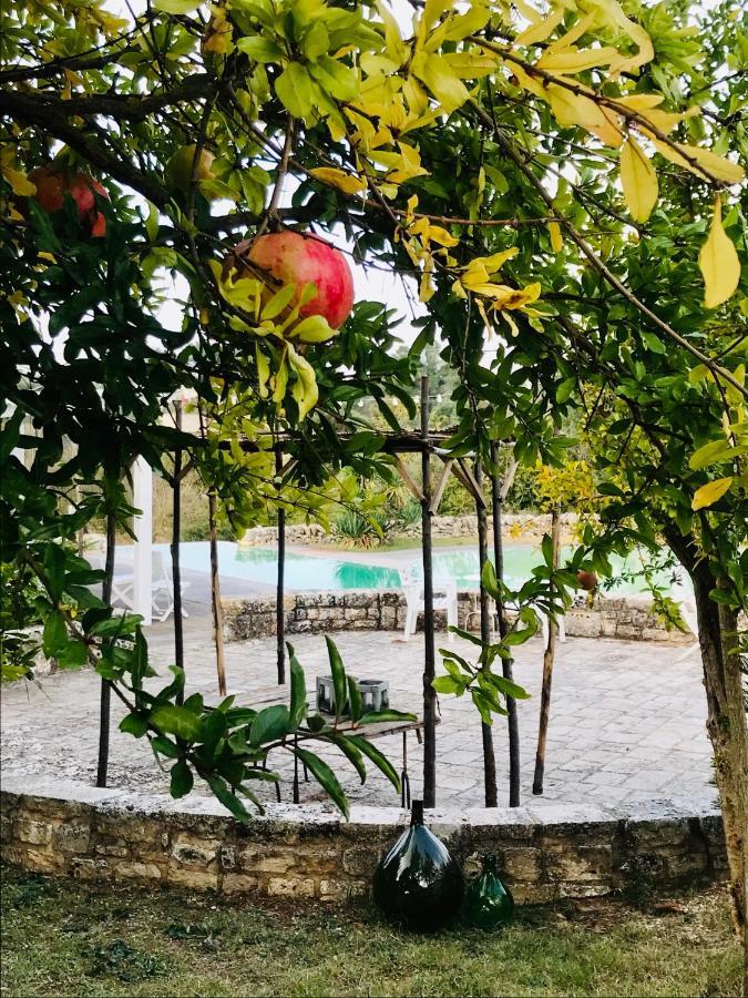 Masseria Trulli&Stelle B&B Noci Kültér fotó